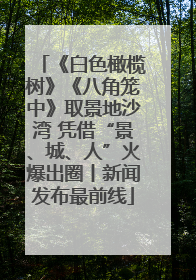 《白色橄榄树》《八角笼中》取景地沙湾 凭借“景、城、人”火爆出圈丨新闻发布最前线