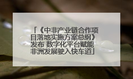 《中非产业链合作项目落地实施方案总纲》发布 数字化平台赋能非洲发展驶入快车道