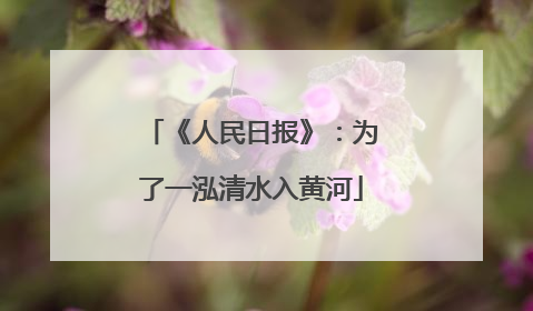 《人民日报》：为了一泓清水入黄河