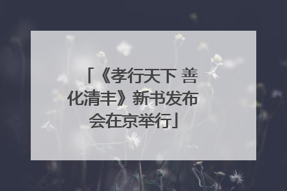 《孝行天下 善化清丰》新书发布会在京举行