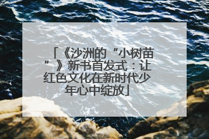 《沙洲的“小树苗”》新书首发式：让红色文化在新时代少年心中绽放