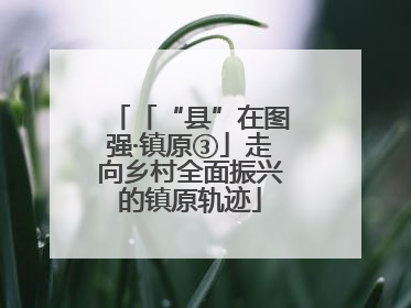 「“县”在图强·镇原③」走向乡村全面振兴的镇原轨迹