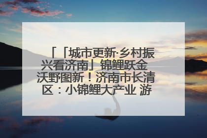 「城市更新·乡村振兴看济南」锦鲤跃金 沃野图新！济南市长清区：小锦鲤大产业 游出农旅新风景