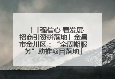 「强信心 看发展·招商引资拼落地」金昌市金川区：“全周期服务”助推项目落地