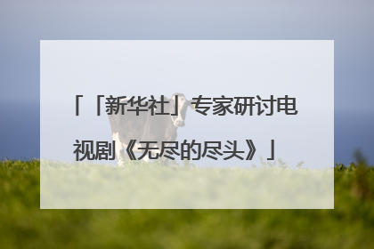 「新华社」专家研讨电视剧《无尽的尽头》