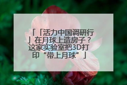 「活力中国调研行」在月球上造房子？这家实验室把3D打印“带上月球”