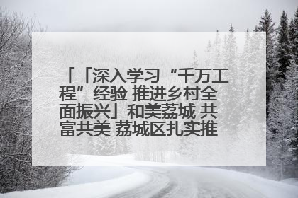 「深入学习“千万工程”经验 推进乡村全面振兴」和美荔城 共富共美 荔城区扎实推进乡村振兴工作