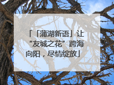 「蒲湖新语」让“友城之花”跨海向阳，尽情绽放