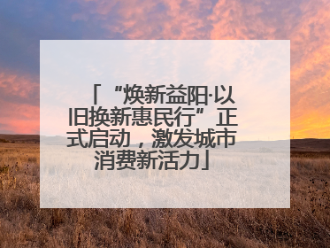 “焕新益阳·以旧换新惠民行”正式启动，激发城市消费新活力