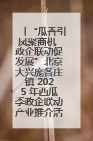 “瓜香引凤聚商机 政企联动促发展”北京大兴庞各庄镇 2025 年西瓜季政企联动产业推介活动圆满举行