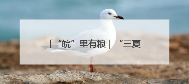 “皖”里有粮｜“三夏”时节，一“皖”麦香
