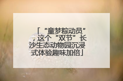 “童梦粽动员”，这个“双节”长沙生态动物园沉浸式体验趣味加倍