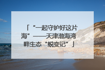 “一起守护好这片海”——天津渤海湾畔生态“蜕变记”