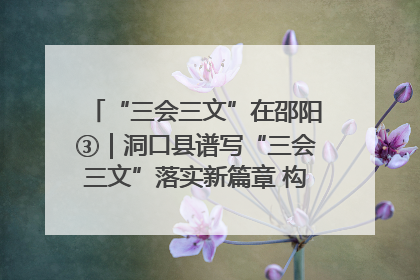 “三会三文”在邵阳③｜洞口县谱写“三会三文”落实新篇章 构建协同联动大格局