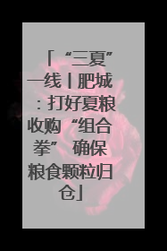 “三夏”一线丨肥城：打好夏粮收购“组合拳” 确保粮食颗粒归仓