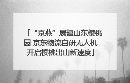 “京燕”展翅山东樱桃园 京东物流自研无人机开启樱桃出山新速度