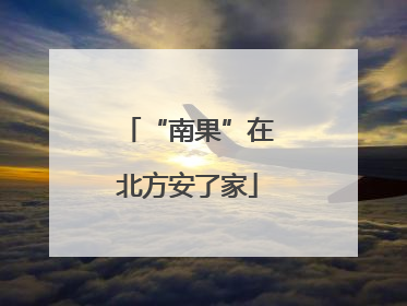 “南果”在北方安了家