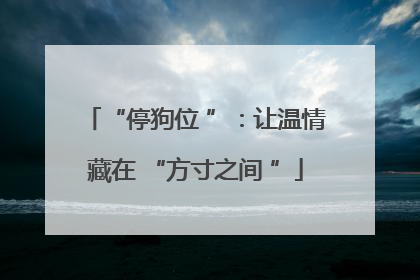 “停狗位 ”：让温情藏在 “方寸之间 ”