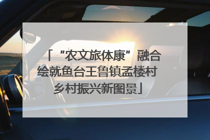 “农文旅体康”融合绘就鱼台王鲁镇孟楼村乡村振兴新图景