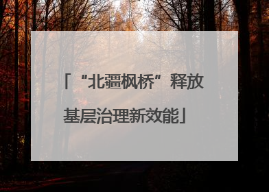 “北疆枫桥”释放基层治理新效能