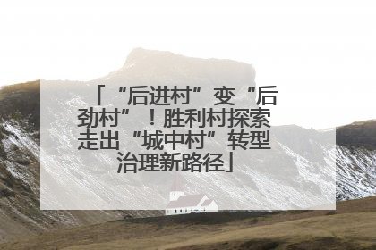 “后进村”变“后劲村”！胜利村探索走出“城中村”转型治理新路径