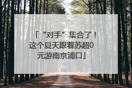 “对手”集合了！这个夏天跟着苏超0元游南京浦口
