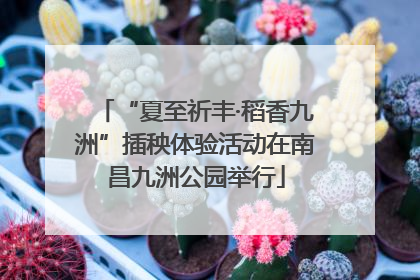 “夏至祈丰·稻香九洲”插秧体验活动在南昌九洲公园举行