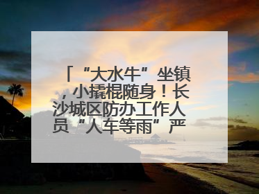 “大水牛”坐镇，小撬棍随身！长沙城区防办工作人员“人车等雨”严阵以待
