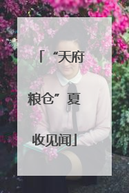 “天府粮仓”夏收见闻