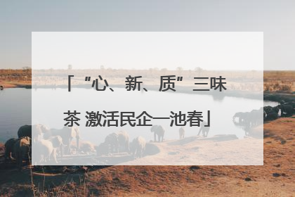 “心、新、质”三味茶 激活民企一池春