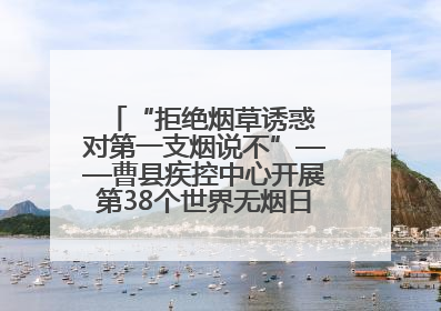 “拒绝烟草诱惑 对第一支烟说不”——曹县疾控中心开展第38个世界无烟日科普宣传活动
