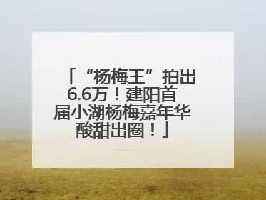 “杨梅王”拍出6.6万！建阳首届小湖杨梅嘉年华酸甜出圈！
