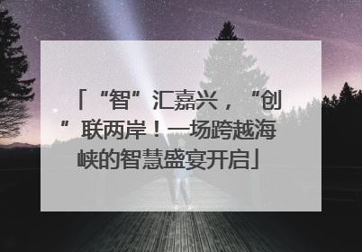 “智”汇嘉兴，“创”联两岸！一场跨越海峡的智慧盛宴开启
