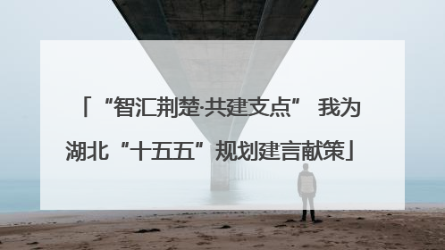 “智汇荆楚·共建支点” 我为湖北“十五五”规划建言献策