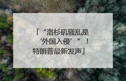 “洛杉矶骚乱是‘外国入侵’”！特朗普最新发声
