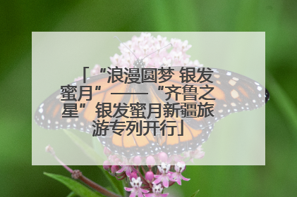 “浪漫圆梦 银发蜜月”——“齐鲁之星”银发蜜月新疆旅游专列开行