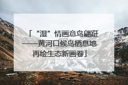“湿”情画意鸟翩跹——黄河口候鸟栖息地再绘生态新画卷