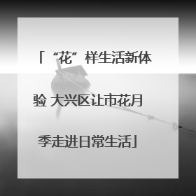 “花”样生活新体验 大兴区让市花月季走进日常生活