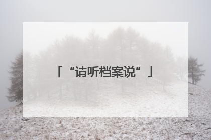 “请听档案说”