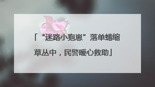 “迷路小狍崽”落单蜷缩草丛中，民警暖心救助
