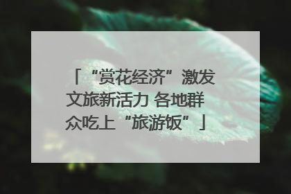 “赏花经济”激发文旅新活力 各地群众吃上“旅游饭”