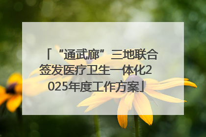 “通武廊”三地联合签发医疗卫生一体化2025年度工作方案