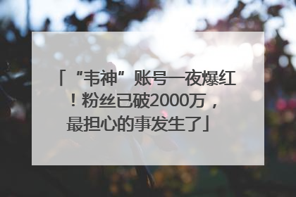 “韦神”账号一夜爆红！粉丝已破2000万，最担心的事发生了