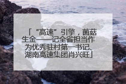 “高速”引擎，菌菇生金——记全省担当作为优秀驻村第一书记、湖南高速集团肖兴旺