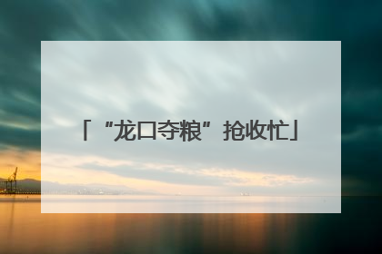 “龙口夺粮”抢收忙