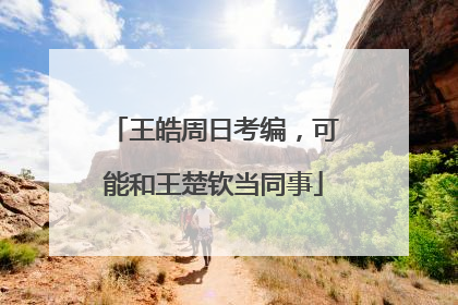 王皓周日考编，可能和王楚钦当同事