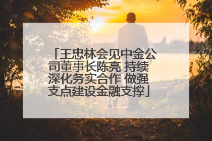 王忠林会见中金公司董事长陈亮 持续深化务实合作 做强支点建设金融支撑