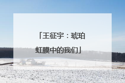 王征宇：琥珀虹膜中的我们