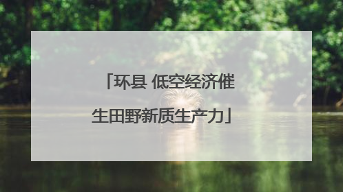 环县 低空经济催生田野新质生产力
