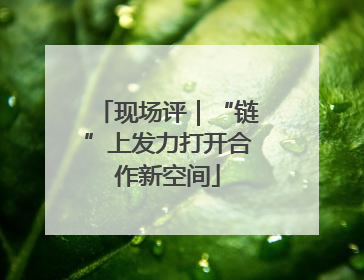 现场评｜“链”上发力打开合作新空间